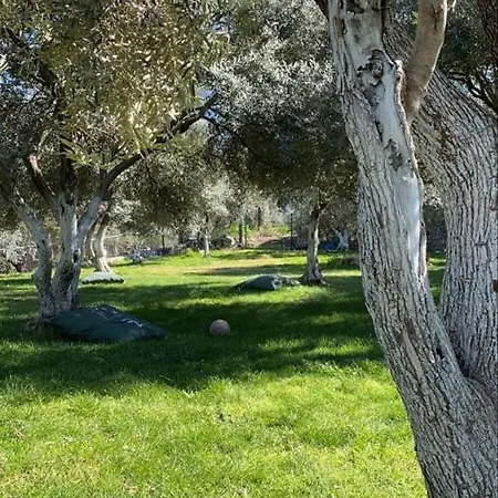 Pan Camping Parque de Campismo